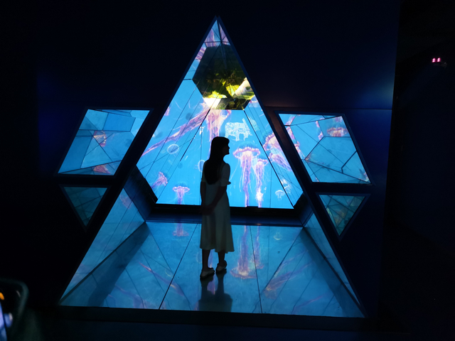 Се продава голем акрилен резервоар за риби Leyu Acrylic Factory е специјализиран за прилагодување за вас, осигурувајќи дека нема да пожолти 20 години - LEYU