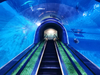 Oceanarium akrilni tunelski akvarij za podvodno restavracijo ali oceanski park - LEYU