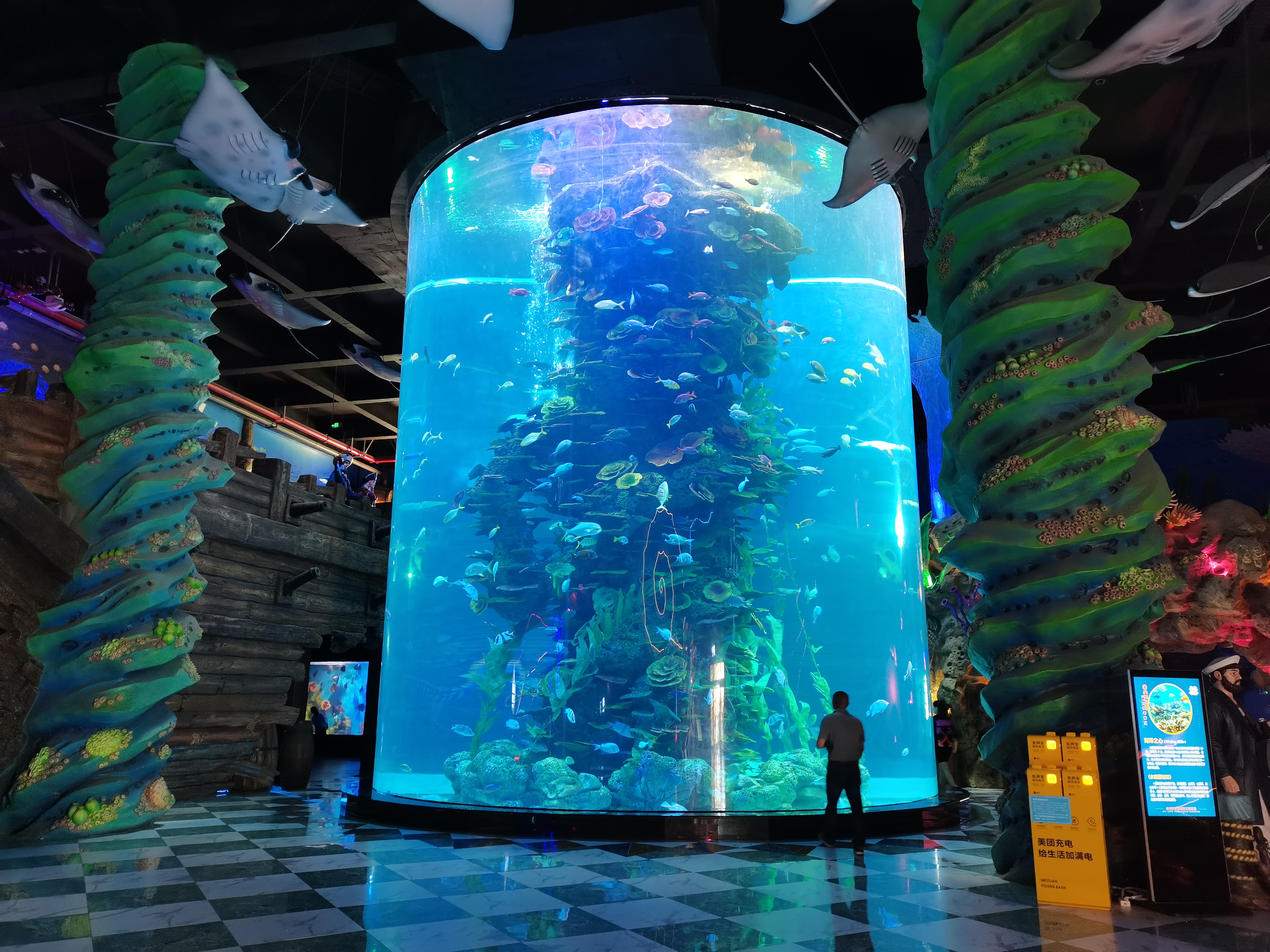 சம்ப் வடிகட்டுதல்-லியு அக்ரிலிக் கொண்ட சிலிண்டர் அக்ரிலிக் மீன் தொட்டி