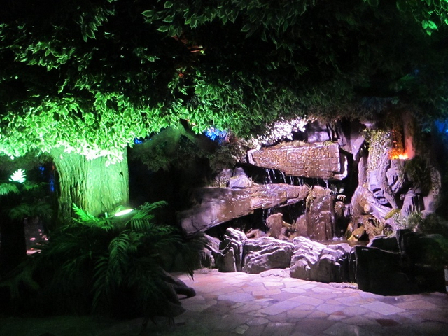 Akwarium abadanlaşdyryş sergisi 2- Le&yacute;u