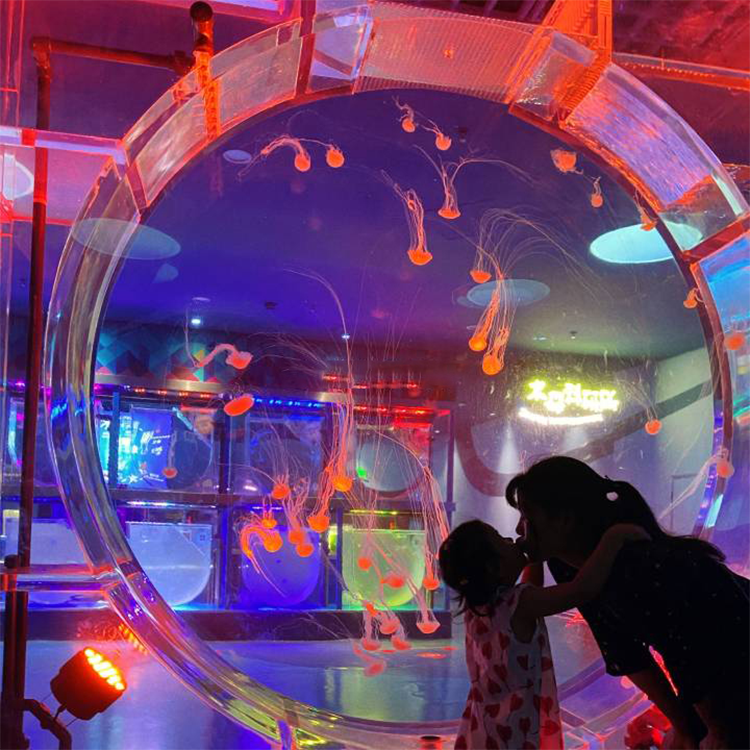Cubic Aquarium Systems Premium Jellyfish Jellyfish tanki na ainihin wata jellyfish akwatin kifaye - Leyu 