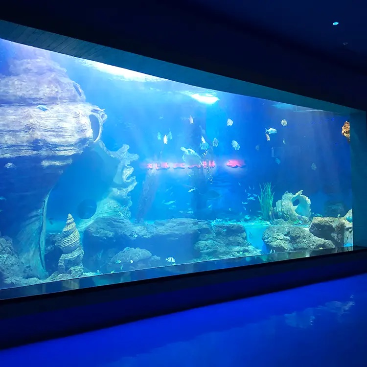 Luxury Design Custom Acrylic View Window For Aquarium -Leyu