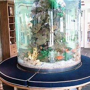 Ko nga mea pai rawa atu mo nga taika ika kiriaku mo te aquarium wai maori - Leyu