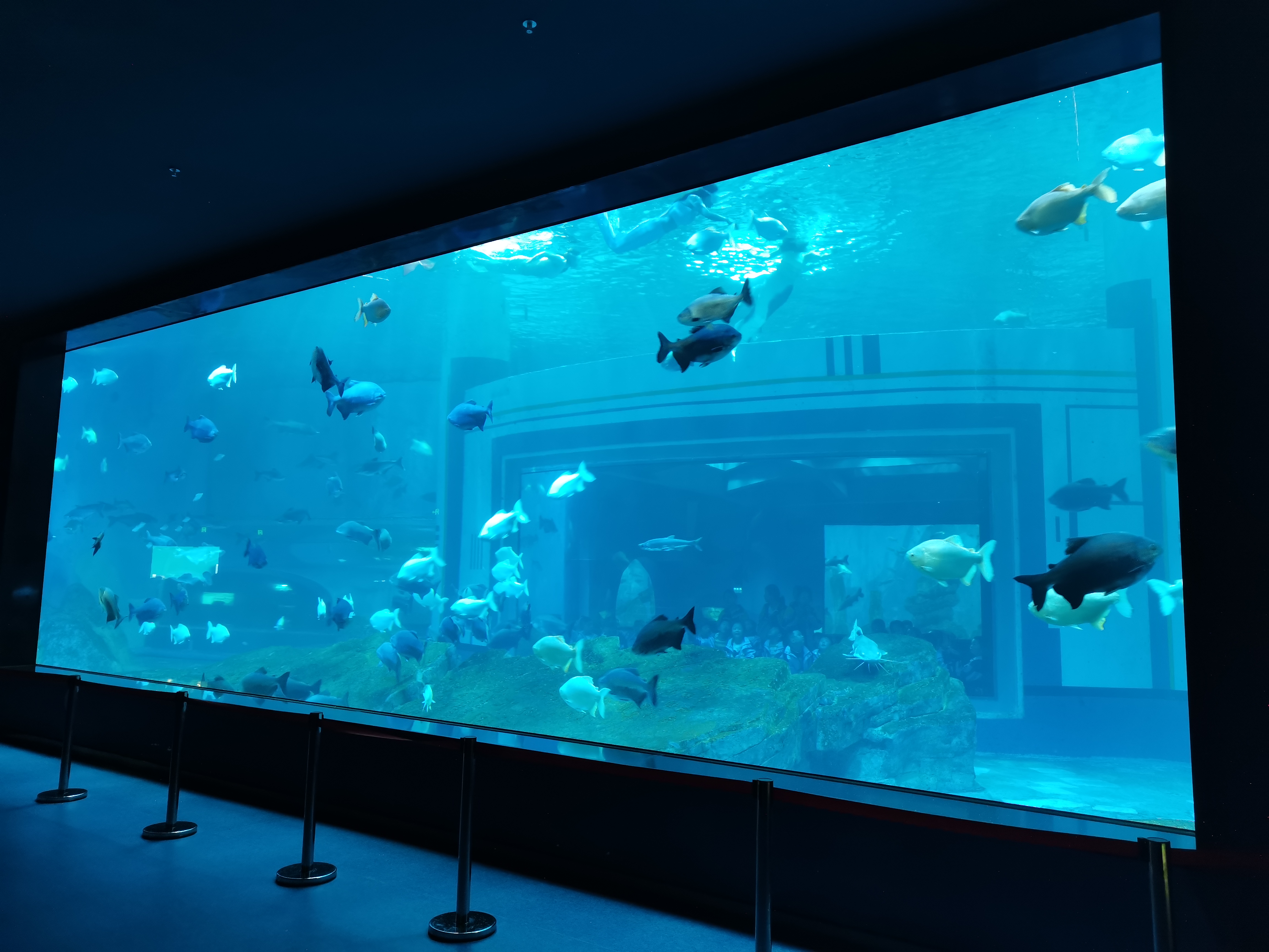 Pannello acrilico per precauzioni per l'installazione dell'acquario - leyu acrilico