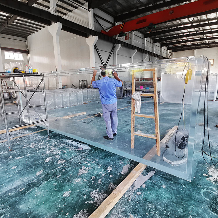 Ko nga mea pai rawa atu mo nga taika ika kiriaku mo te aquarium wai maori - Leyu