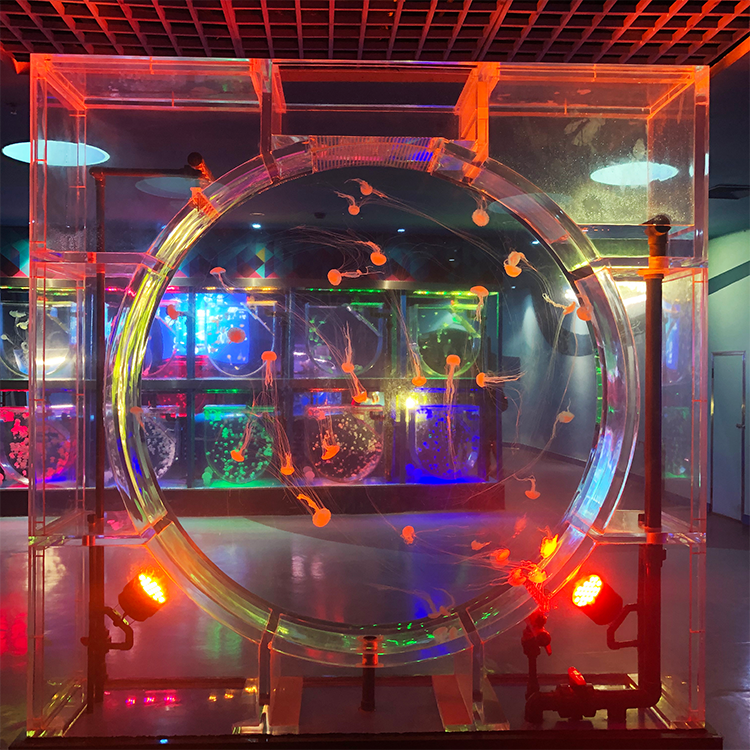 Kelkaj Konsideroj dum Konstruado de Fiŝujo leyu diras al vi- Leyu Akriliko