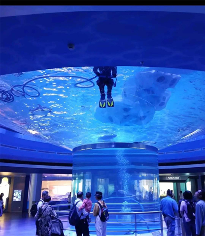 ʻO ka mea hana a nā mea hoʻohana nui loaʻo ia ka mea hana maikaʻi loa trefcommendʻoi loa i ka aquarium acrylic aquarium - Leyu