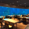 Magazinul Aquarium Cafe are ferestre acrilice tuneluri de acvariu acrilice și rezervoare de pești din acril - Leyu