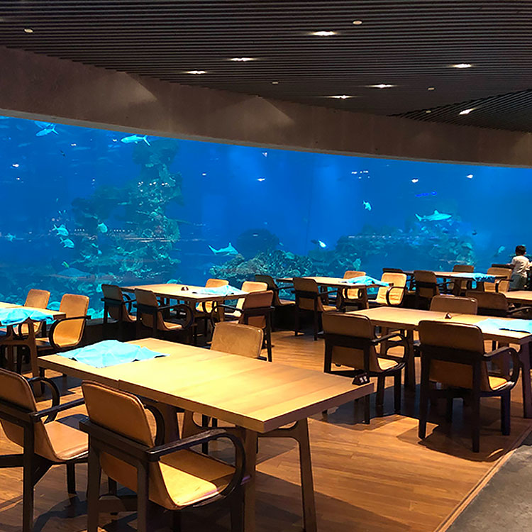 The Aquarium Cafe shop has acrylic windowsacrylic aquarium tunnels and acrylic fish tanks - Leyu