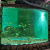 La ĉina fabriko specialiĝas pri kutimaj akrilaj fenestroj por oceanario .- leyu 