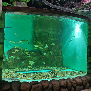 Ho&euml; kwaliteit groot akriel gebo&euml; akriel paneel vir akwariums - Leyu Acrylic Sheet Products Factory