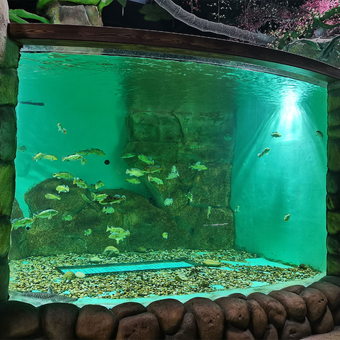 Akwariumlar &uuml;&ccedil;in &yacute;okary hilli uly akril egrilen akril panel - Le&yacute;u akril &ouml;rt&uuml;k &ouml;n&uuml;mleri zawody