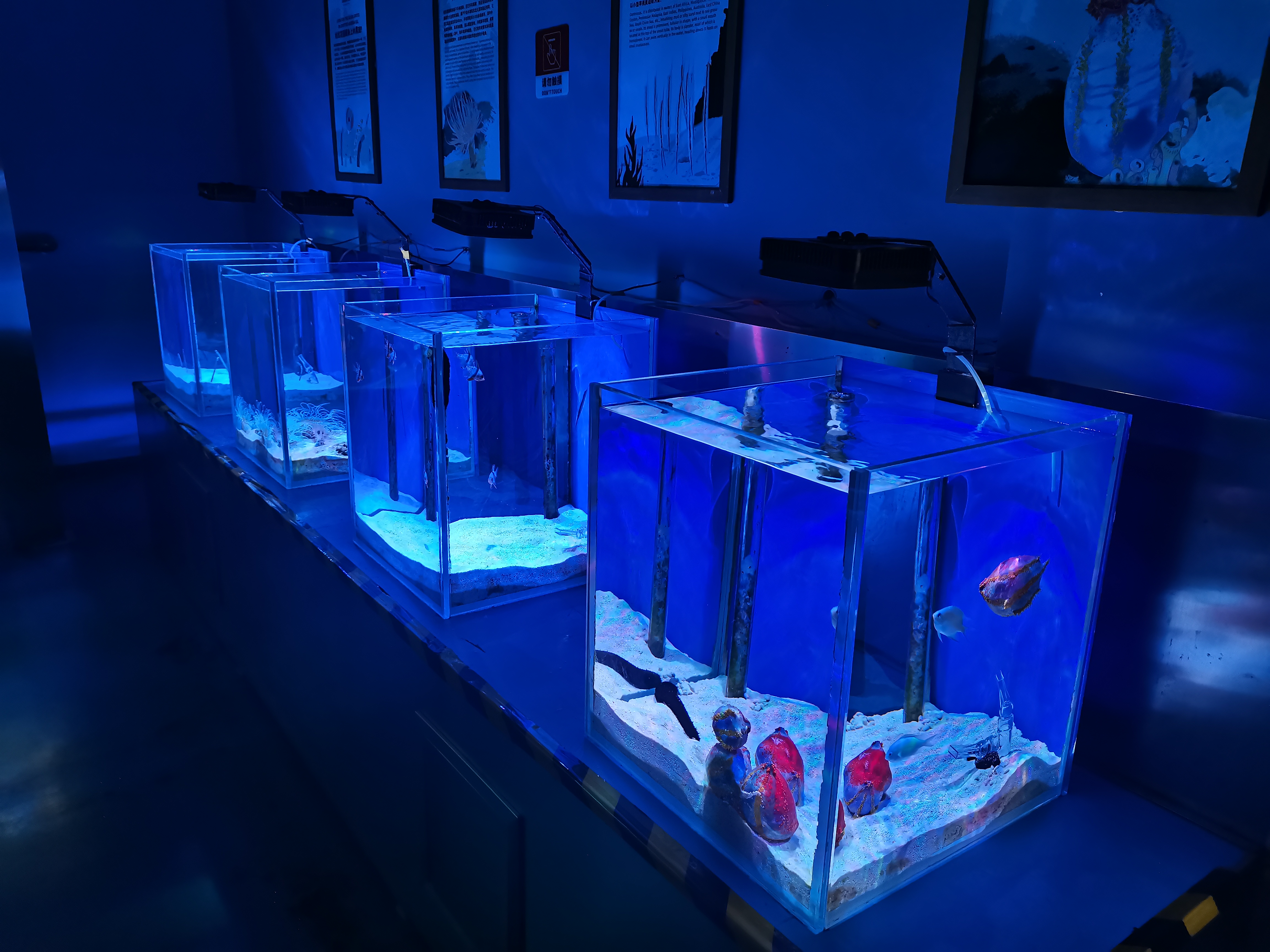 Profesionalni proizvođači i graditelji akrilnih akvarija po narudžbi - Leyu 