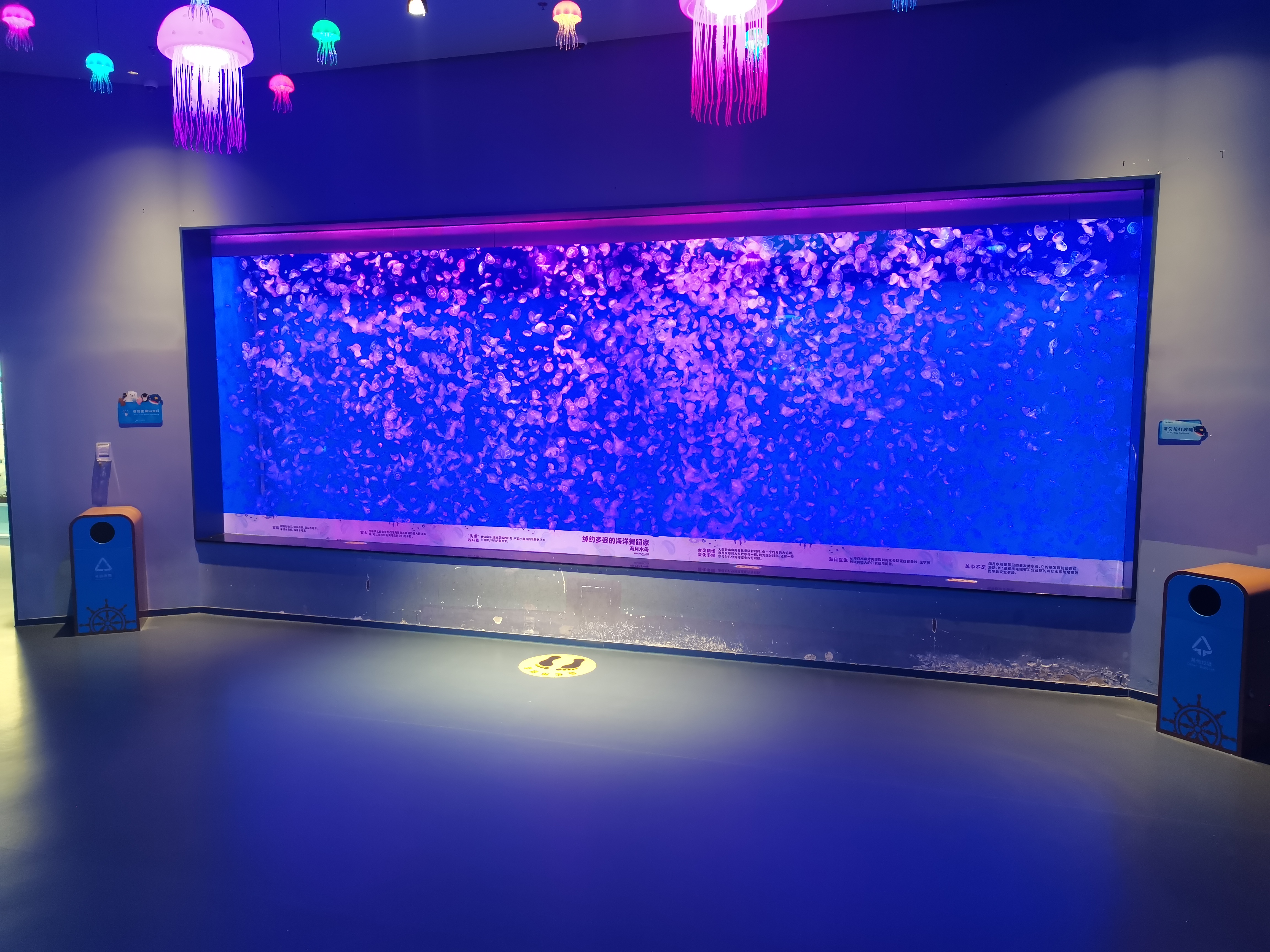 Profesionalni proizvođači i graditelji akrilnih akvarija po narudžbi - Leyu 