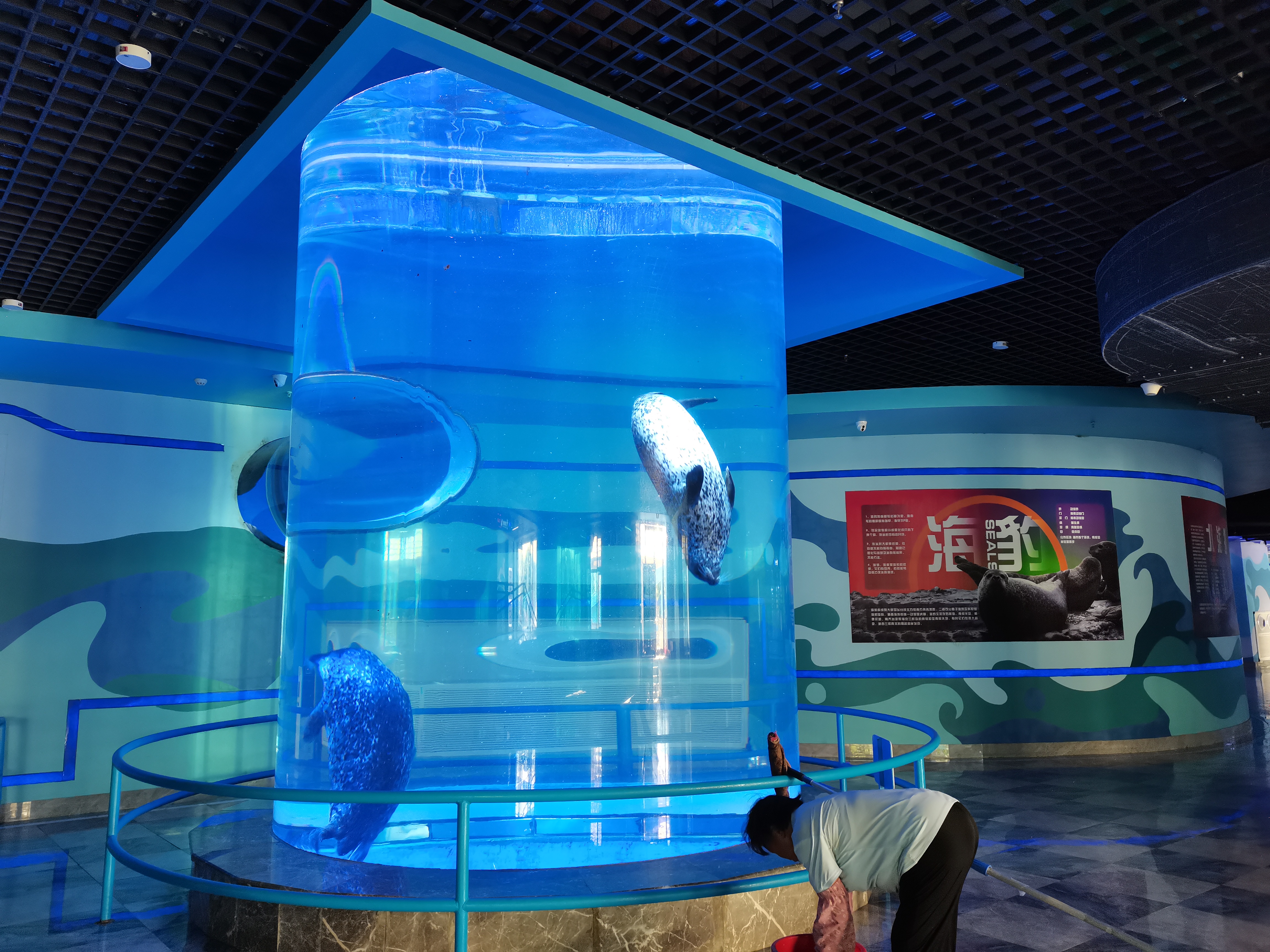 சம்ப் வடிகட்டுதல்-லியு அக்ரிலிக் கொண்ட சிலிண்டர் அக்ரிலிக் மீன் தொட்டி