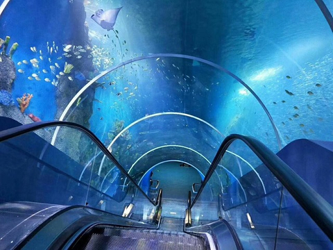 Lucited Material Akrylová deska pro akvária ve tvaru na zakázku