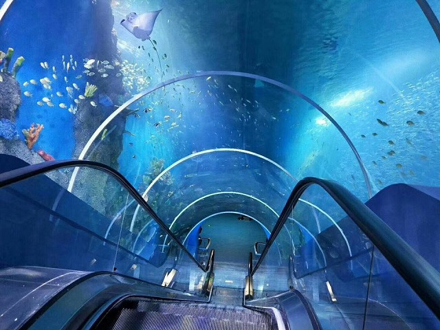 ልዩ የሆነ ቁሳቁስ አክሬሊክስ ሉህ ለ Aquariums በብጁ ቅርጽ