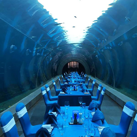 Oceanarium Podwodne akwaria w tunelu rekina w Ocean Park - Fabryka arkusza akrylowego Leyu