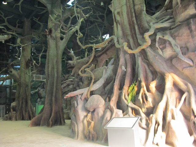 Akwarium abadanlaşdyryş sergisi 113-- Leyu