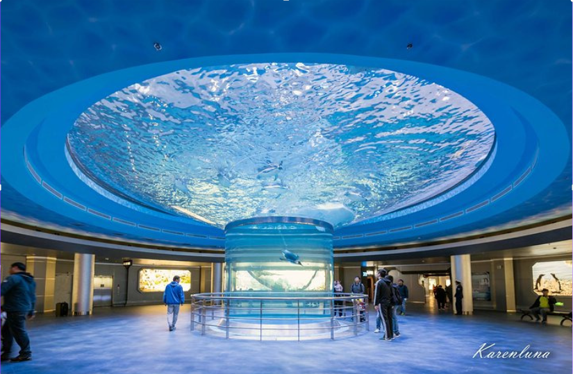 Malaking Acrylic Cylinder Aquarium fish tank na Naka-install sa isang Shopping Mall - Leyu acrylic