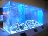  IsiShayina Acrylic Fish Tank Acrylic panel Umphakeli kanye Umkhiqizi - Leyu