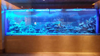 //rrrorwxhqnlmln5m.ldycdn.com/cloud/lpBpiKqollSRlkrmiipmjq/Acrylic-custom-fish-tank-manufacture.jpg
