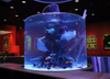 Ukukhiqizwa nokufakwa kwe-aquarium acrylic fish tank enkulu - Leyu