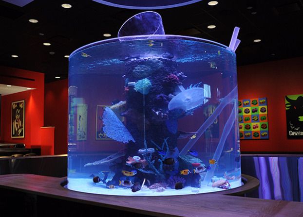 Ukukhiqizwa nokufakwa kwe-aquarium acrylic fish tank enkulu - Leyu