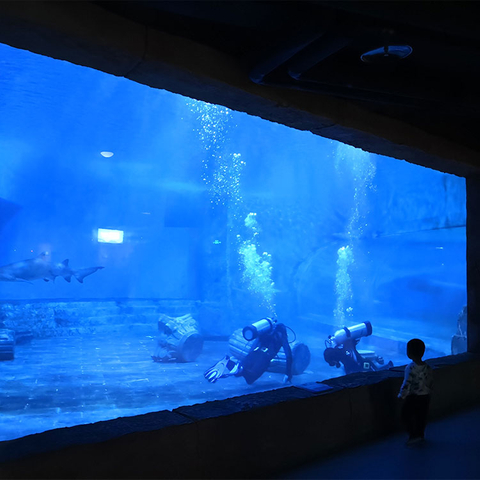 Leyu acrylic je eden najboljših kitajskih proizvajalcev akrilnih oken - leyu