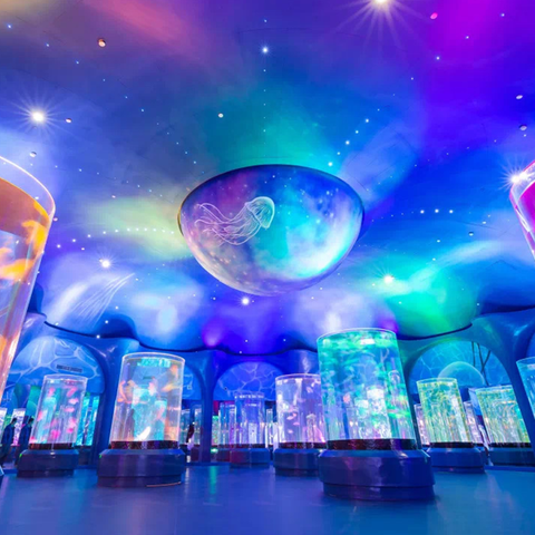 Art of Jellyfish Jellyfish Tanks & Live Petjelly Sea Tank لامپ مخزن چتر دریایی ماه کیت مخزن چتر دریایی - Leyu
