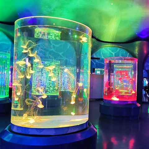 Pet Jellyfish USA Pet Jellyfish At Home acvariu de meduze vii Acvariu de meduze vii de v&acirc;nzare - Leyu 