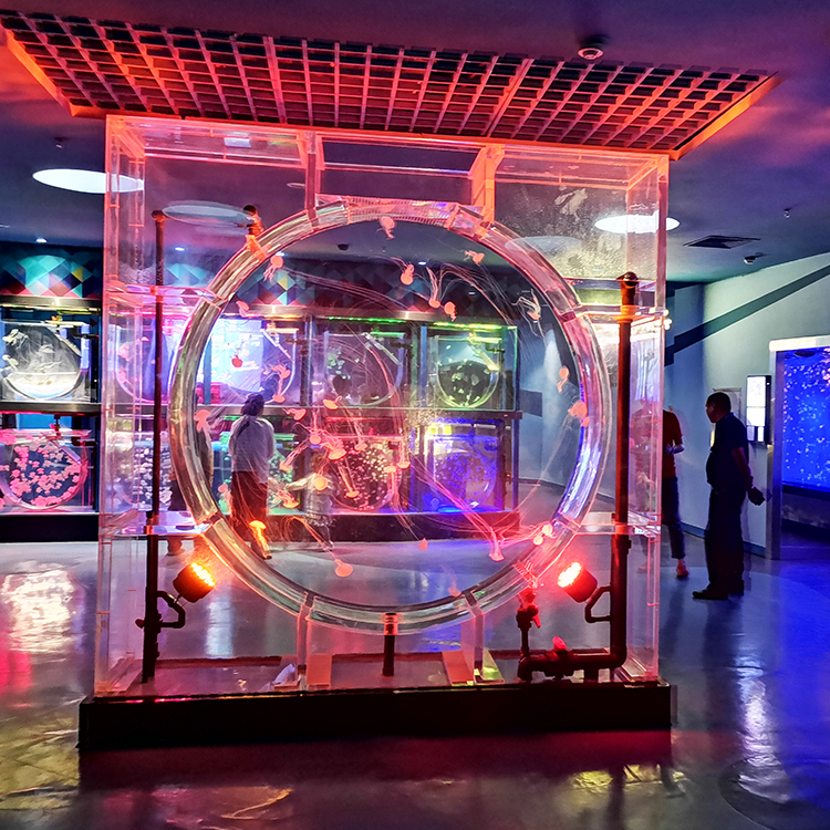 Kelkaj Konsideroj dum Konstruado de Fiŝujo leyu diras al vi- Leyu Akriliko