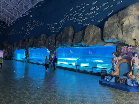 Lisabona Oceanarium Explorează Fabrica de acvariu acrilică Ocean World Oceanarium leyu, este specializată în construcția Ocenarium. - Leyu