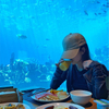 Magazinul Aquarium Cafe are ferestre acrilice tuneluri de acvariu acrilice și rezervoare de pești din acril - Leyu