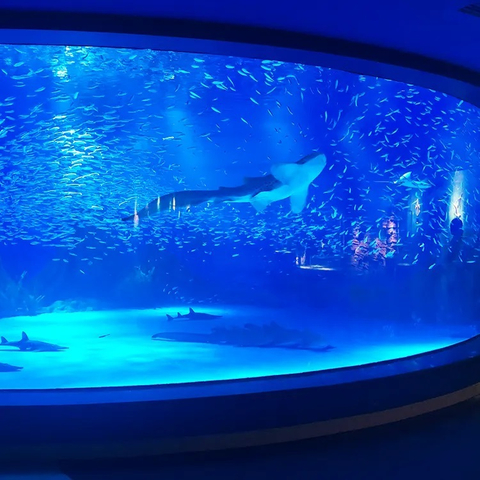 Луксузни дизајн прилагођени акрилни прозор за акваријум -Леиу