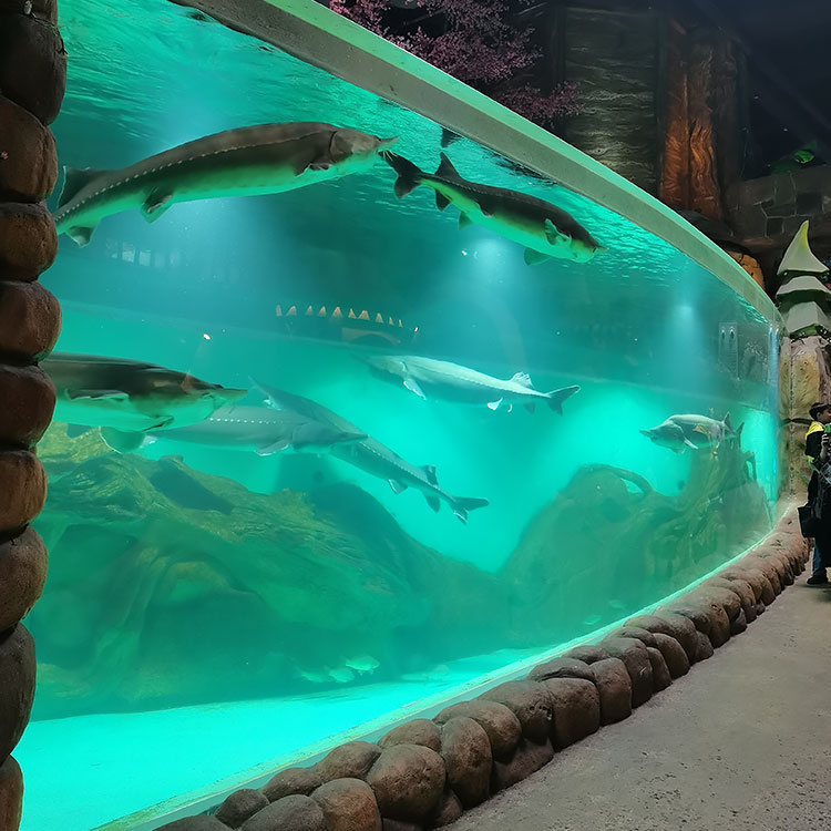 Aquarium Engineering Acrylic engineering Acrylic Design24 na oras na Serbisyo ng Pabrika na Murang - LEYU