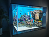 Yadda Ake Keɓance Acrylic don Aquarium - Leyu 