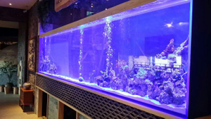 Factory Supply Custom Veliki akrilni akvarijum za ribu Akvarij Leyu Akrilna fabrika prilagođava za vas - LEYU