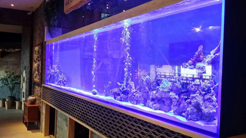 Aquarium Tankek Mas&icirc; ya Akrylic a Mezin a Xweser Leyu Fabr&icirc;kaya Acrylic ji we re xweş dike - LEYU