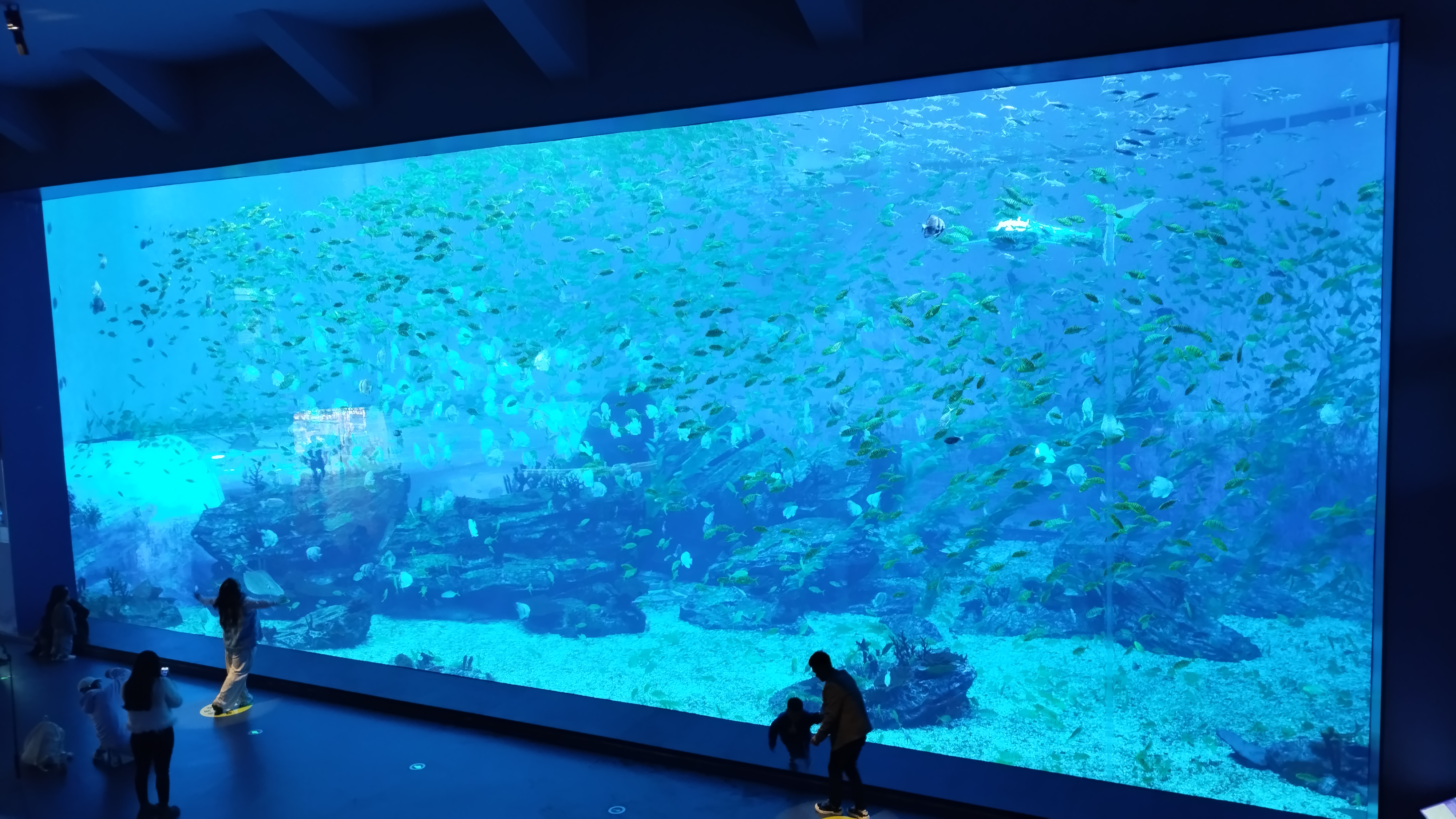 އެކްރިލިކް ފިޝް ޓޭންކް އެޕްލިކޭޝަން ސިސްޓަމް އެނަލިސިސް