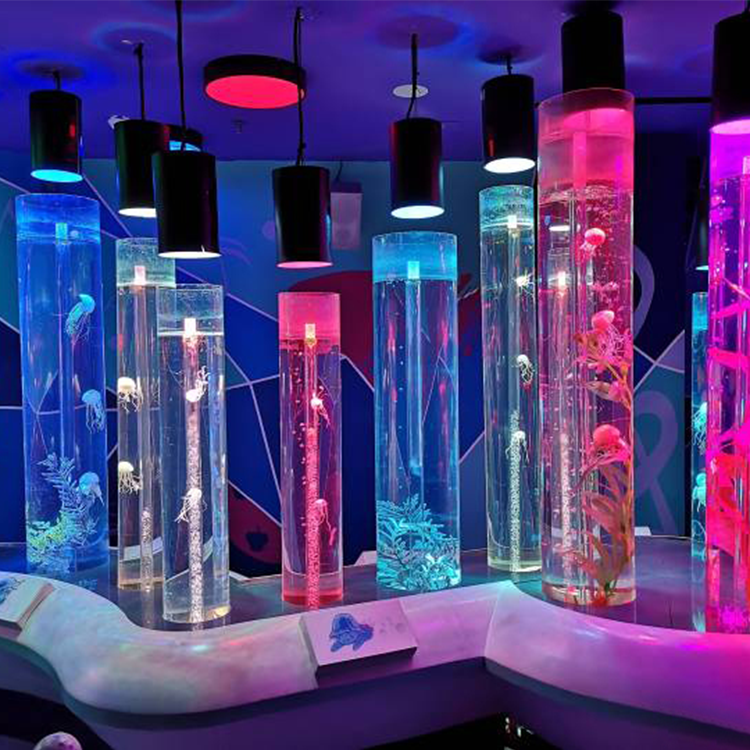 Jellyfish din zan iya samun jellyfish a cikin akwatin ruwa na - Leyu