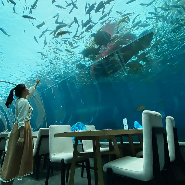 les tunnels d'aquarium comme le tunnel aquarium bangalore peuvent être fabriqués par l'usine Leyu - Leyu