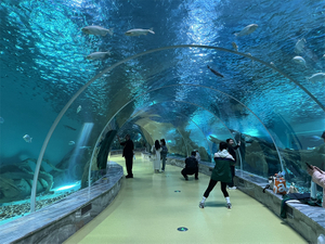 The Factory of Custom  Underwater Tunnel Aquariums-Leyu Acrylic Sheet Products Factory