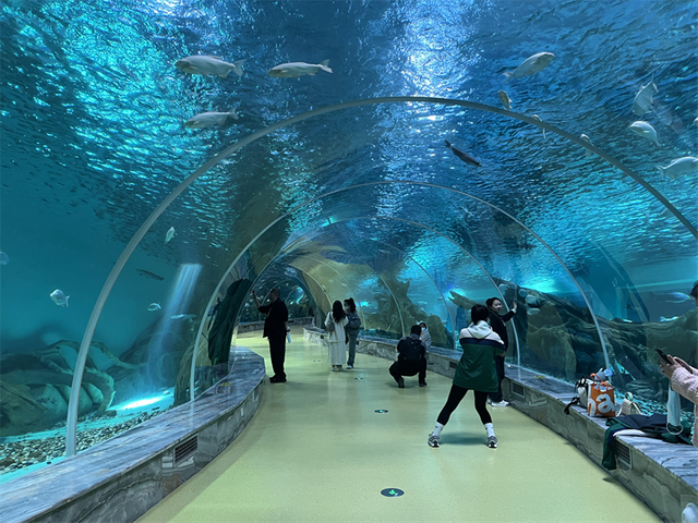 Oceanarium Restaurant Imaynatataq Algas en Tanque de Fish Leyu Profesional Personalización - Leyu