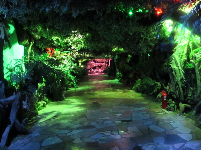 Akwarium abadanlaşdyryş sergisi - Le&yacute;u