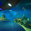 La ĉina fabriko specialiĝas pri kutimaj akrilaj fenestroj por oceanario .- leyu 