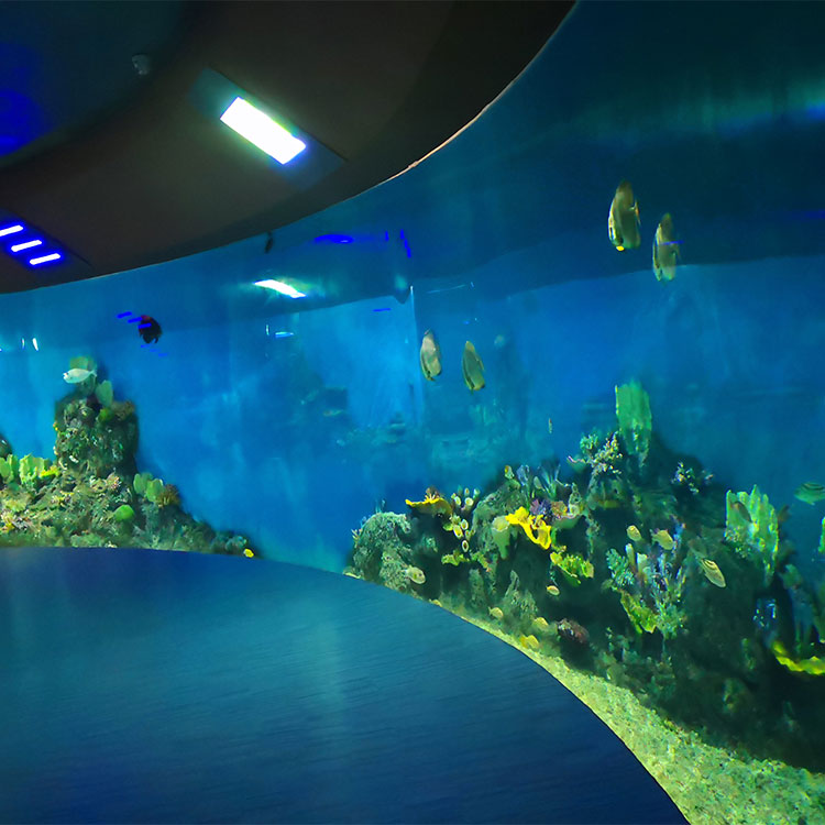 La ĉina fabriko specialiĝas pri kutimaj akrilaj fenestroj por oceanario .- leyu 