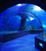 A Leyu Acrylic olyan akv&aacute;riumokat is tud &eacute;p&iacute;teni, mint a Bangalore Tunnel Aquarium - LEYU 