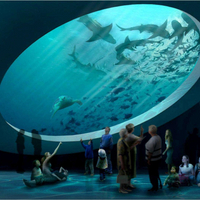 //rrrorwxhqnlmln5m.ldycdn.com/cloud/pjBpiKqollSRolnrqniqjp/jhk- 16815257236 53_1084_1084.jpg