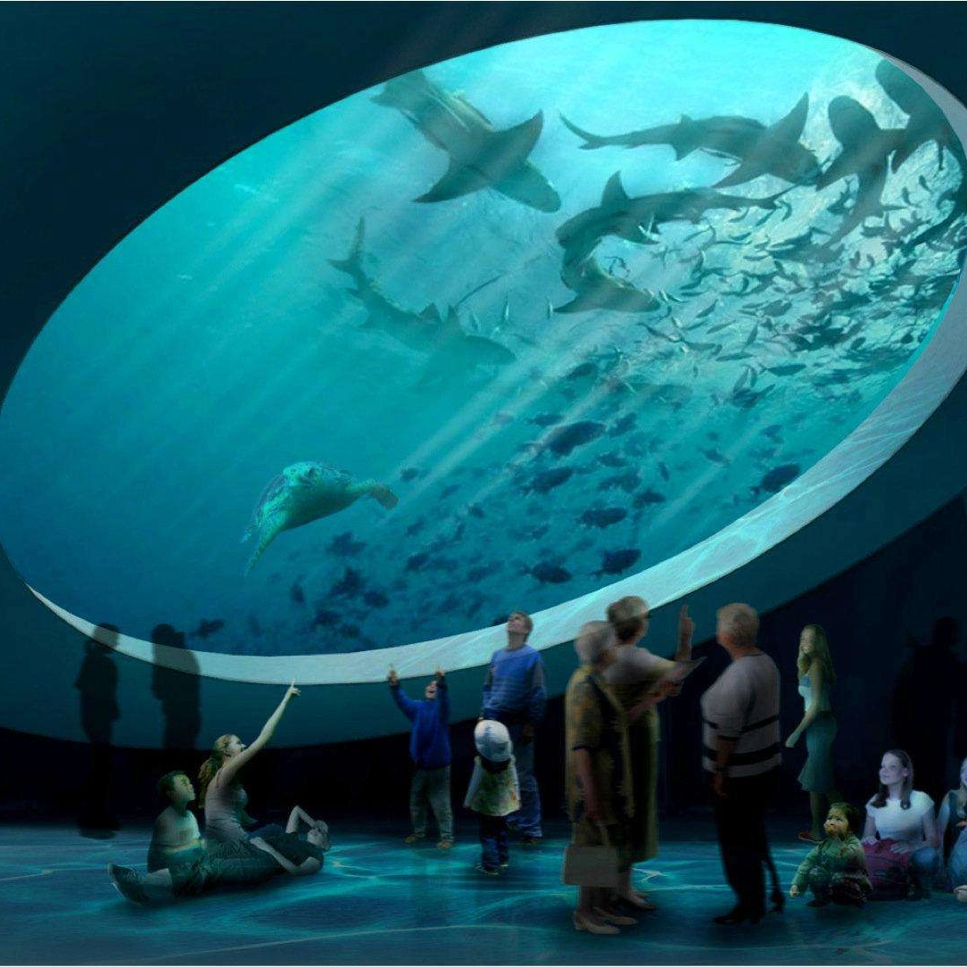 ข้อควรพิจารณาทางเทคนิคที่สำคัญสำหรับโครงการตู้ปลาอะคริลิคขนาดใหญ่พิเศษแบบกำหนดเอง